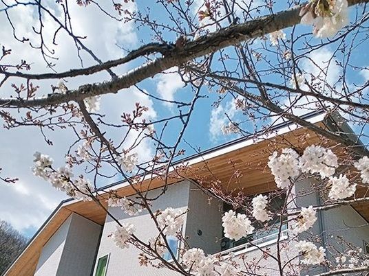 花が咲く建物の外観