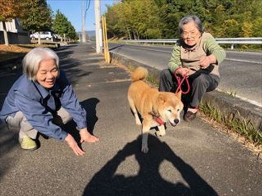 犬と触れ合う高齢者二人