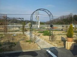 穏やかな日差しの中庭