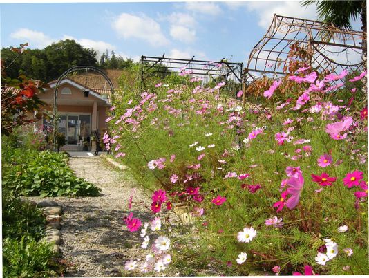 花に囲まれた建物入口
