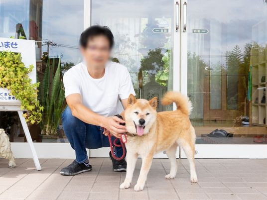 男性と犬のエントランス
