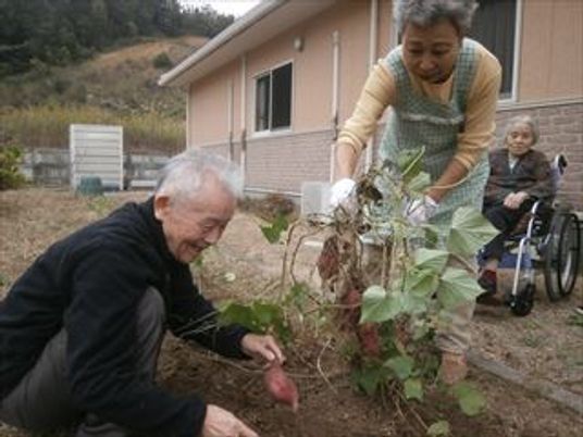 庭で楽しむ園芸活動