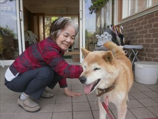 笑顔で犬と触れ合う人