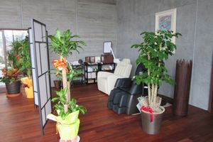 植物が映えるリビング