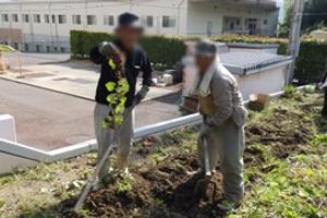 作業をする庭