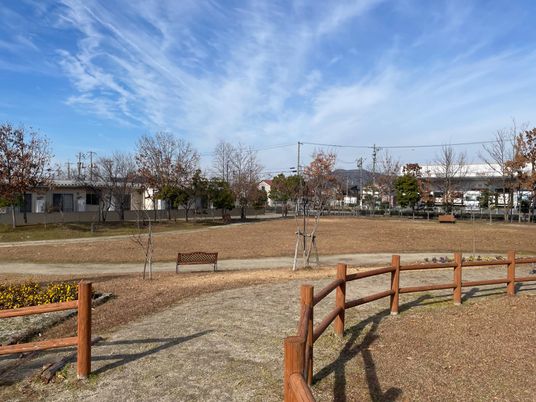 広々とした庭園