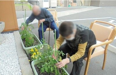 椅子に座る人々の庭