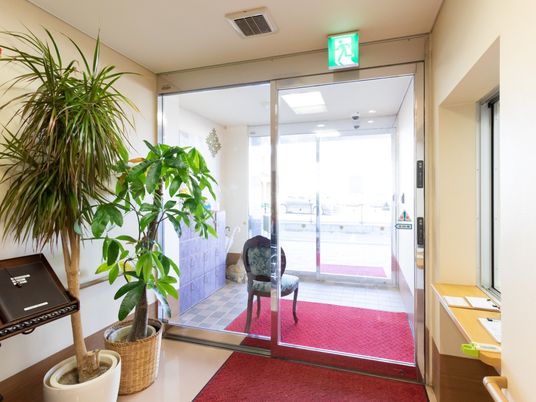 エントランスの植物と椅子