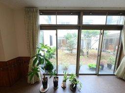 明るい中庭の眺め