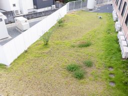 施設の静かな庭