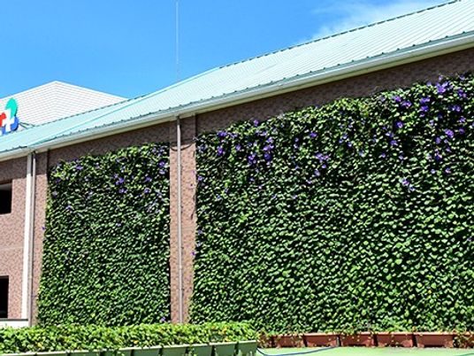 緑の壁面が目立つ外観  