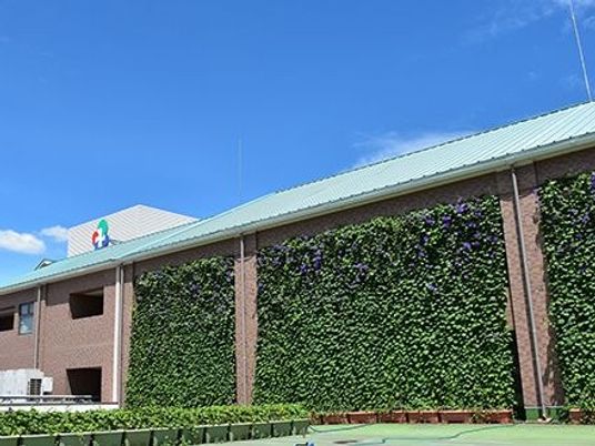 緑の壁が目立つ外観  