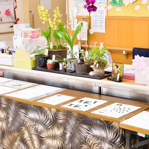 多様な植物が飾られた室内
