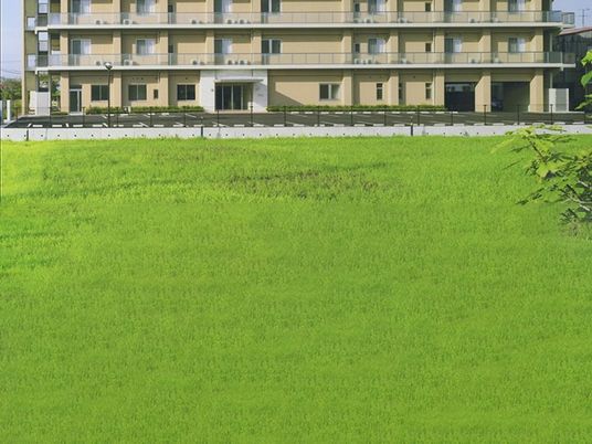緑広がる建物外観  