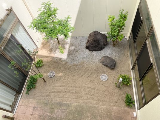 自然が感じられる中庭