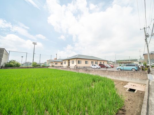 緑豊かな外観