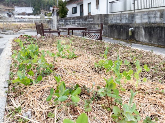 屋外の休憩スペース 花壇 緑に囲まれた休憩スペースで、新鮮な空気を楽しむことができます。利用者様の心安らぐ時間をサポートします。