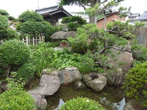 自然豊かな庭園