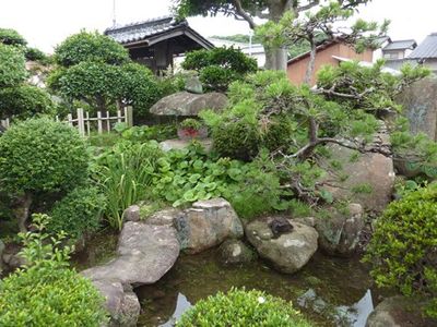 自然豊かな庭園