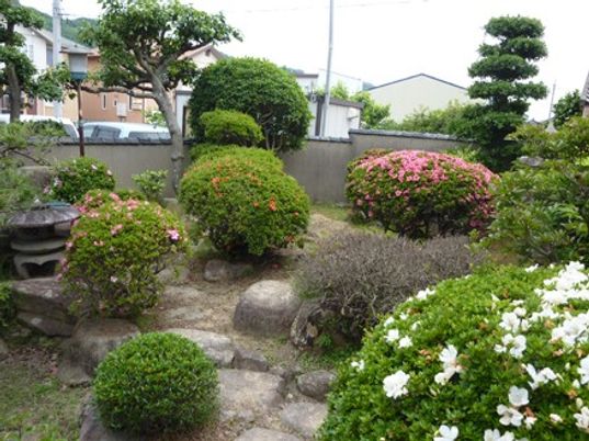 彩り豊かな庭