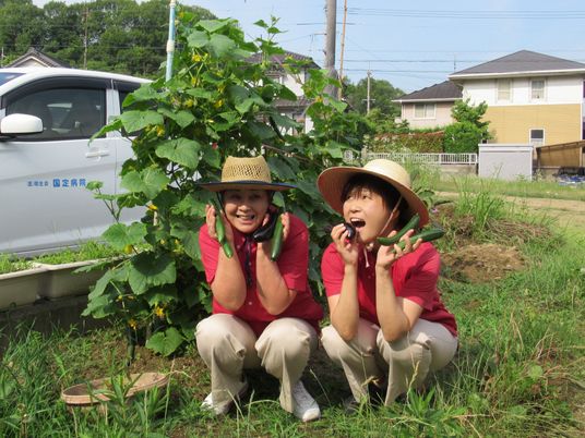菜園で収穫を楽しむスタッフ  