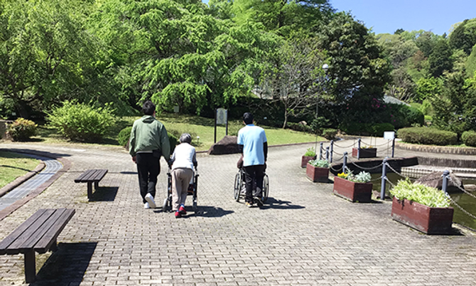 緑豊かな庭