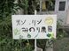 介護医療院 みのり 看護師（シフト制）（正社員）