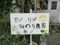 介護医療院 みのり 看護師（シフト制）（正社員）