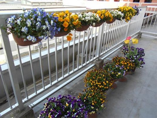 花々で彩られたバルコニー