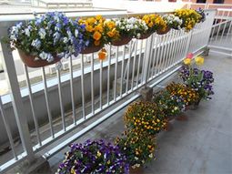 色とりどりの花が咲くバルコニー
