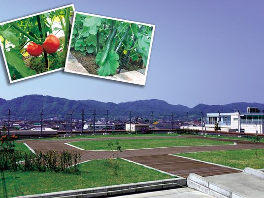 屋上の庭園  