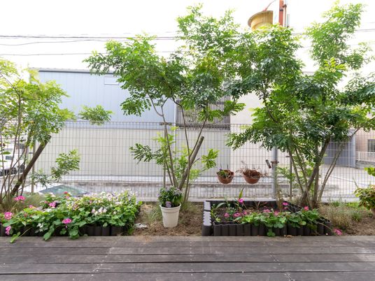 緑豊かな中庭