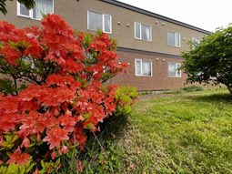 花と建物の庭