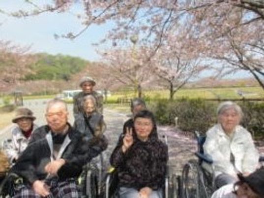 桜下で笑顔の集い
