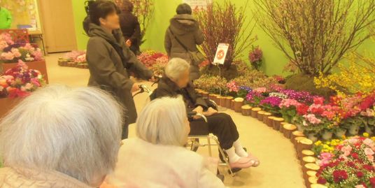 自然の花が並ぶ廊下