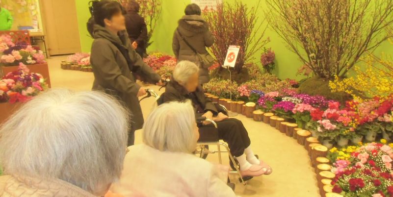自然の花が並ぶ廊下