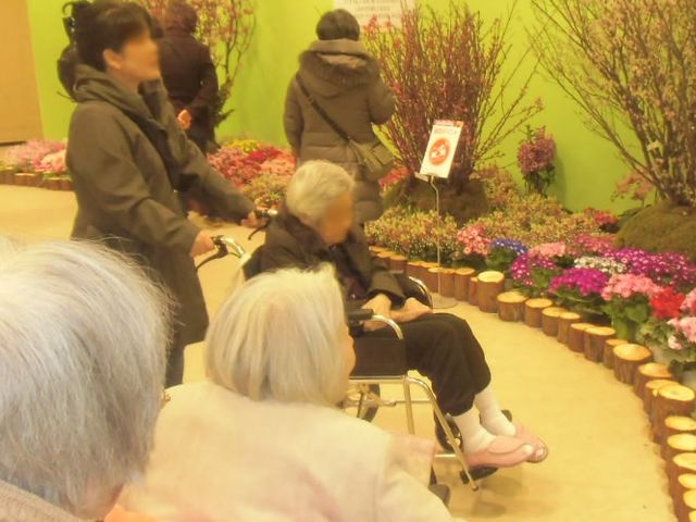 自然の花が並ぶ廊下 廊下 多くの色とりどりの花が並び、明るい雰囲気が漂う空間です。利用者がリラックスできる環境が整っています。