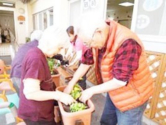 植物の世話をする利用者様