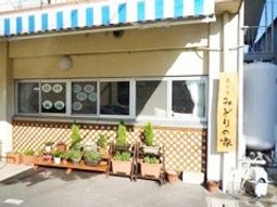 明るい日差しのエントランス