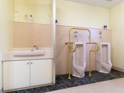 清潔な洗面所と小便器