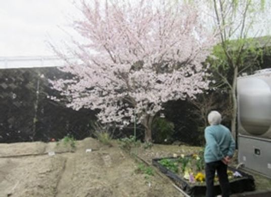 ゆったり庭園の片隅