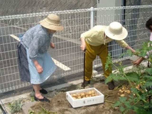 庭での活動風景 庭 ゆったりとした庭で、利用者の方が土いじりを楽しんでいます。自然に触れ合い、穏やかなひとときを過ごしていただけます。