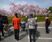 桜の中庭でくつろぐ様子