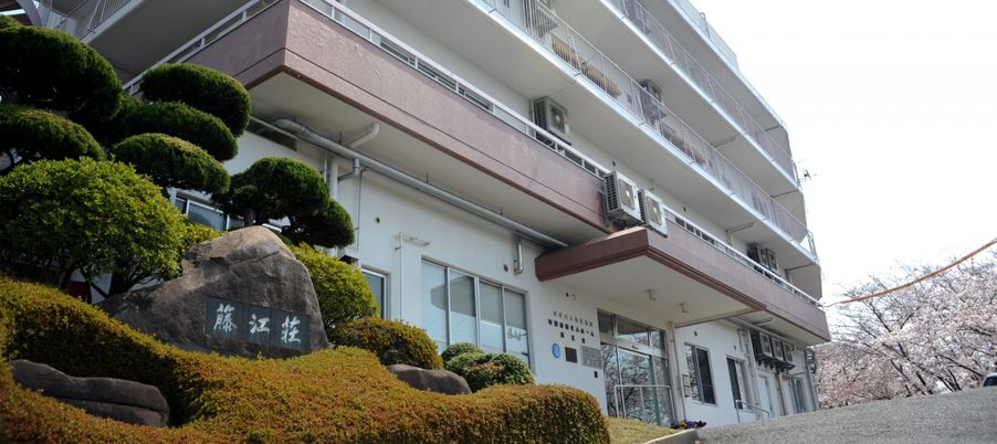 桜並木の外観
