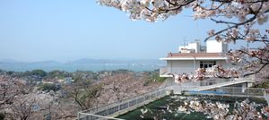 桜の見える建物外観
