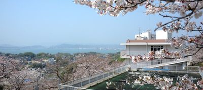 桜の見える建物外観