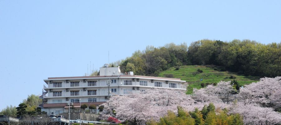 美しい桜に囲まれた外観