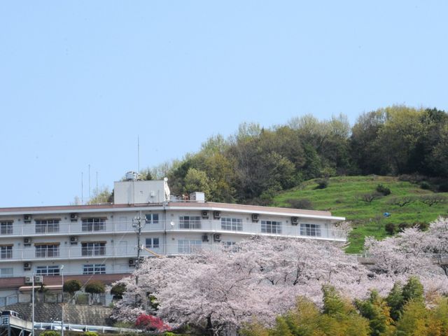 美しい桜に囲まれた外観 外観 桜の木々に囲まれた建物は、自然豊かな環境で仕事を考えている方にぴったりです。