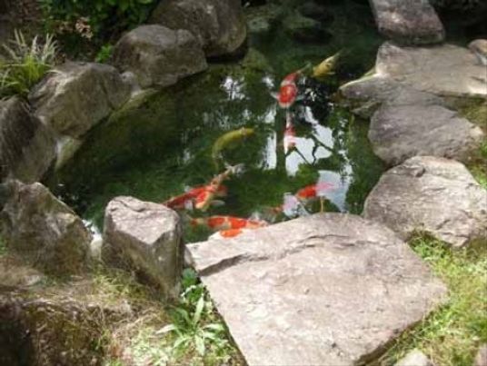 和やかな庭園風景