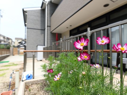 花が咲く施設の中庭